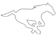 Calgary Stampeders
