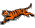 Bengals