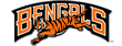 Bengals Cheerleaders