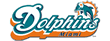 Dolphins Cheerleaders