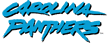 Panthers Cheerleaders