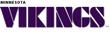 Vikings Cheerleaders