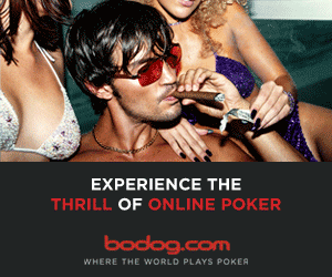 Bodog Poker Rooms